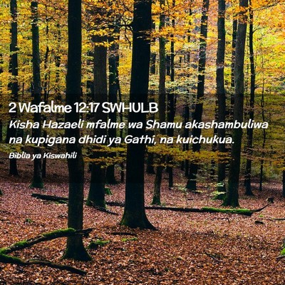 Picture 02 - 2 Wafalme 12:17 SWHULB - Kisha Hazaeli mfalme wa Shamu akashambuliwa na - Bible Verse Picture