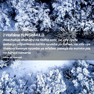 Picture 02 - 2 Wafalme 14:14 SWHULB - Akachukua dhahabu na fedha zote, na vitu vyote - Bible Verse Picture