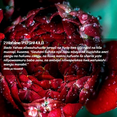 Picture 02 - 2 Wafalme 17:13 SWHULB - Bado Yahwe aliwashuhudia Israeli na Yuda kwa kila - Bible Verse Picture