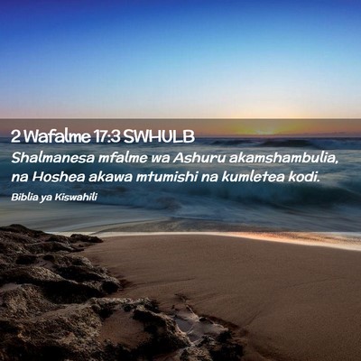 Picture 02 - 2 Wafalme 17:3 SWHULB - Shalmanesa mfalme wa Ashuru akamshambulia, na - Bible Verse Picture