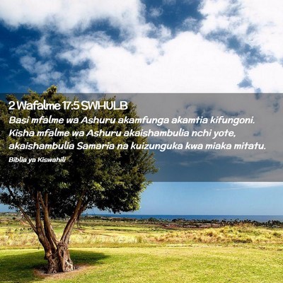 Picture 02 - 2 Wafalme 17:5 SWHULB - Basi mfalme wa Ashuru akamfunga akamtia - Bible Verse Picture