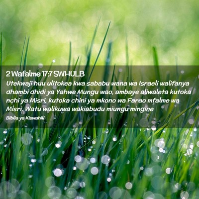 Picture 02 - 2 Wafalme 17:7 SWHULB - Utekwaji huu ulitokea kwa sababu wana wa Israeli - Bible Verse Picture