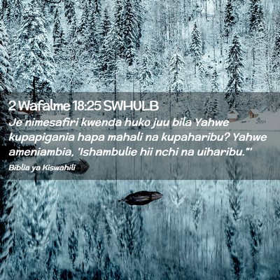 Picture 02 - 2 Wafalme 18:25 SWHULB - Je nimesafiri kwenda huko juu bila Yahwe - Bible Verse Picture