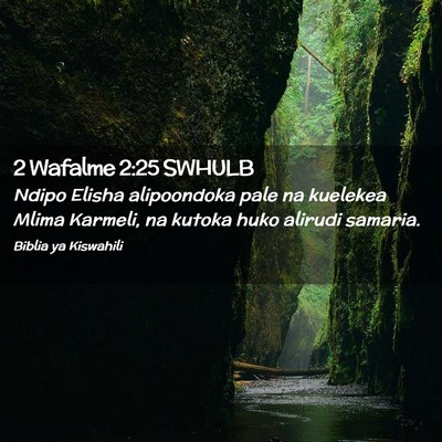Picture 02 - 2 Wafalme 2:25 SWHULB - Ndipo Elisha alipoondoka pale na kuelekea Mlima - Bible Verse Picture