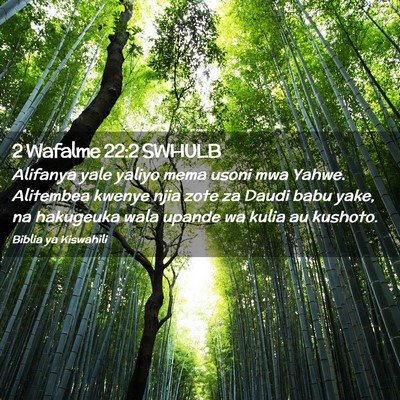Picture 02 - 2 Wafalme 22:2 SWHULB - Alifanya yale yaliyo mema usoni mwa Yahwe. - Bible Verse Picture