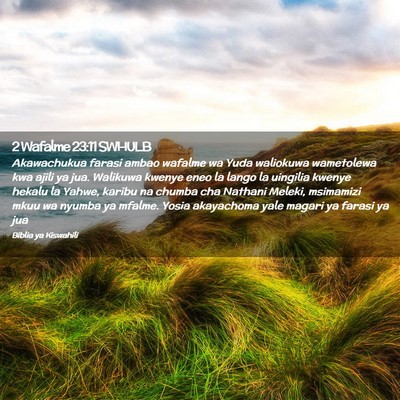Picture 02 - 2 Wafalme 23:11 SWHULB - Akawachukua farasi ambao wafalme wa Yuda - Bible Verse Picture