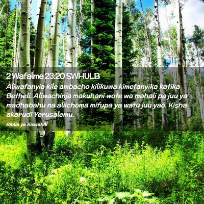 Picture 02 - 2 Wafalme 23:20 SWHULB - Aliwafanyia kile ambacho kilikuwa kimefanyika - Bible Verse Picture
