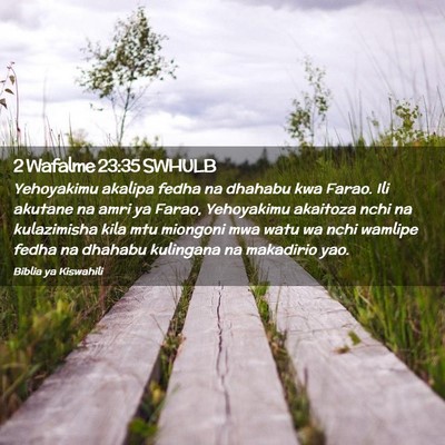 Picture 02 - 2 Wafalme 23:35 SWHULB - Yehoyakimu akalipa fedha na dhahabu kwa Farao. - Bible Verse Picture