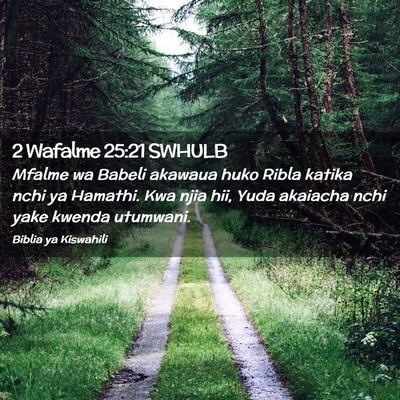 Picture 02 - 2 Wafalme 25:21 SWHULB - Mfalme wa Babeli akawaua huko Ribla katika nchi - Bible Verse Picture