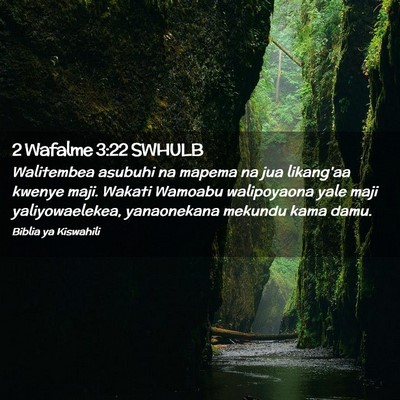 Picture 02 - 2 Wafalme 3:22 SWHULB - Walitembea asubuhi na mapema na jua likang'aa - Bible Verse Picture