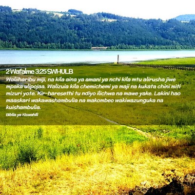 Picture 02 - 2 Wafalme 3:25 SWHULB - Waliiharibu miji, na kila aina ya amani ya nchi - Bible Verse Picture