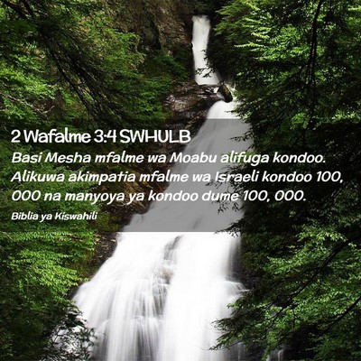 Picture 02 - 2 Wafalme 3:4 SWHULB - Basi Mesha mfalme wa Moabu alifuga kondoo. - Bible Verse Picture