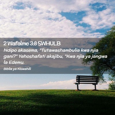 Picture 02 - 2 Wafalme 3:8 SWHULB - Ndipo akasema, “Tutawashambulia kwa njia - Bible Verse Picture
