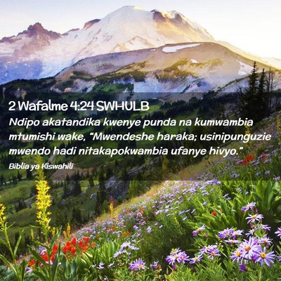Picture 02 - 2 Wafalme 4:24 SWHULB - Ndipo akatandika kwenye punda na kumwambia - Bible Verse Picture