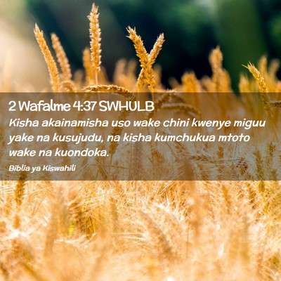Picture 02 - 2 Wafalme 4:37 SWHULB - Kisha akainamisha uso wake chini kwenye miguu - Bible Verse Picture