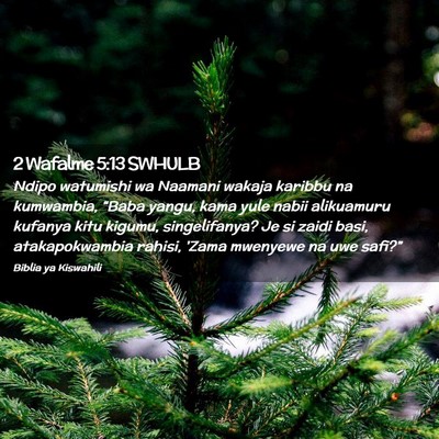 Picture 02 - 2 Wafalme 5:13 SWHULB - Ndipo watumishi wa Naamani wakaja karibbu na - Bible Verse Picture