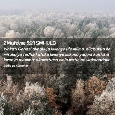 Picture 02 - 2 Wafalme 5:24 SWHULB - Wakati Gehazi alipokuja kwenye ule mlima, - Bible Verse Picture