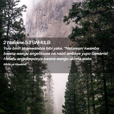 Picture 02 - 2 Wafalme 5:3 SWHULB - Yule binti akamwambia bibi yake, “Natamani - Bible Verse Picture