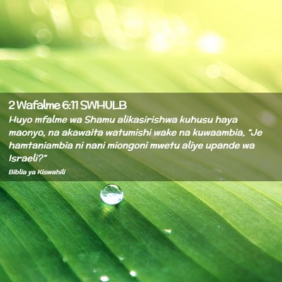 Picture 02 - 2 Wafalme 6:11 SWHULB - Huyo mfalme wa Shamu alikasirishwa kuhusu haya - Bible Verse Picture