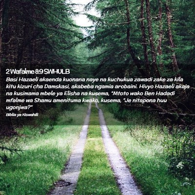 Picture 02 - 2 Wafalme 8:9 SWHULB - Basi Hazaeli akaenda kuonana naye na kuchukua - Bible Verse Picture