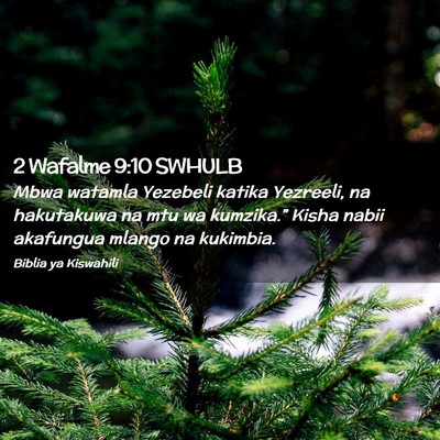 Picture 02 - 2 Wafalme 9:10 SWHULB - Mbwa watamla Yezebeli katika Yezreeli, na - Bible Verse Picture