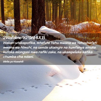 Picture 02 - 2 Wafalme 9:2 SWHULB - Wakati utakapofika, mtafute Yehu mwana wa - Bible Verse Picture