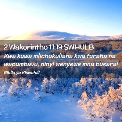 Picture 02 - 2 Wakorintho 11:19 SWHULB - Kwa kuwa mlichukuliana kwa furaha na wapumbavu, - Bible Verse Picture
