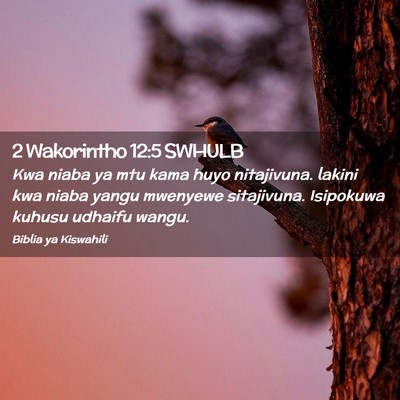 Picture 02 - 2 Wakorintho 12:5 SWHULB - Kwa niaba ya mtu kama huyo nitajivuna. lakini kwa - Bible Verse Picture