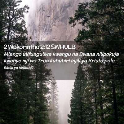 Picture 02 - 2 Wakorintho 2:12 SWHULB - Mlango ulifunguliwa kwangu na Bwana nilipokuja - Bible Verse Picture