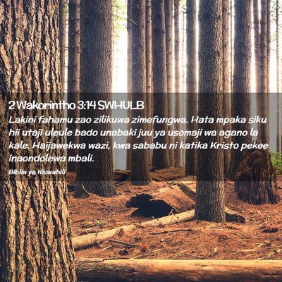 Picture 02 - 2 Wakorintho 3:14 SWHULB - Lakini fahamu zao zilikuwa zimefungwa. Hata mpaka - Bible Verse Picture