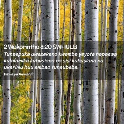 Picture 02 - 2 Wakorintho 8:20 SWHULB - Tunaepuka uwezekano kwamba yeyote napaswa - Bible Verse Picture