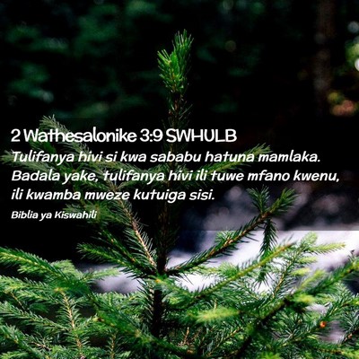 Picture 02 - 2 Wathesalonike 3:9 SWHULB - Tulifanya hivi si kwa sababu hatuna mamlaka. - Bible Verse Picture