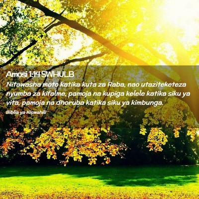 Picture 02 - Amosi 1:14 SWHULB - Nitawasha moto katika kuta za Raba, nao - Bible Verse Picture