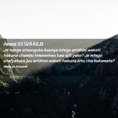 Picture 02 - Amosi 3:5 SWHULB - Je ndege ataanguka kwenye mtego aridhini wakati - Bible Verse Picture