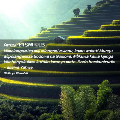 Picture 02 - Amosi 4:11 SWHULB - Nimeiangamiza miji miongoni mwenu, kama wakati - Bible Verse Picture