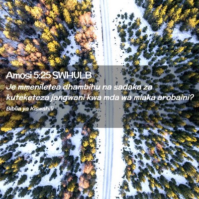 Picture 02 - Amosi 5:25 SWHULB - Je mmeniletea dhambihu na sadaka za kuteketeza - Bible Verse Picture