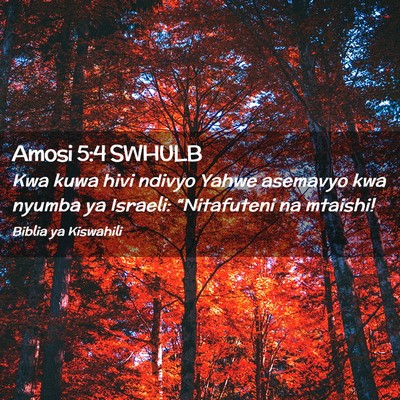 Picture 02 - Amosi 5:4 SWHULB - Kwa kuwa hivi ndivyo Yahwe asemavyo kwa nyumba ya - Bible Verse Picture