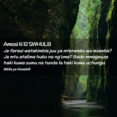 Picture 02 - Amosi 6:12 SWHULB - Je farasi watakimbia juu ya mteremko wa miamba? - Bible Verse Picture