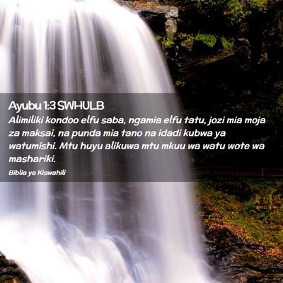 Picture 02 - Ayubu 1:3 SWHULB - Alimiliki kondoo elfu saba, ngamia elfu tatu, - Bible Verse Picture
