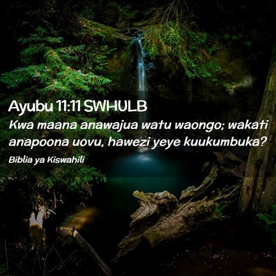 Picture 02 - Ayubu 11:11 SWHULB - Kwa maana anawajua watu waongo; wakati anapoona - Bible Verse Picture