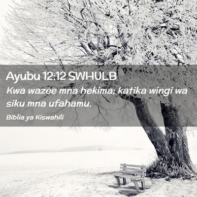 Picture 02 - Ayubu 12:12 SWHULB - Kwa wazee mna hekima; katika wingi wa siku mna - Bible Verse Picture