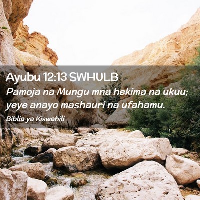 Picture 02 - Ayubu 12:13 SWHULB - Pamoja na Mungu mna hekima na ukuu; yeye anayo - Bible Verse Picture