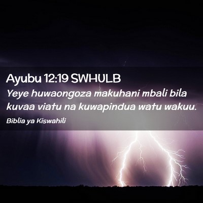 Picture 02 - Ayubu 12:19 SWHULB - Yeye huwaongoza makuhani mbali bila kuvaa viatu - Bible Verse Picture