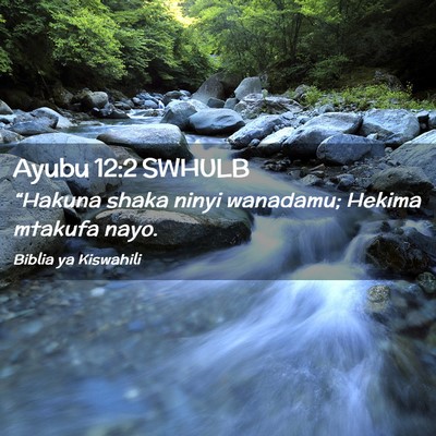 Picture 02 - Ayubu 12:2 SWHULB - “Hakuna shaka ninyi wanadamu; Hekima mtakufa - Bible Verse Picture