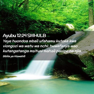 Picture 02 - Ayubu 12:24 SWHULB - Yeye huondoa mbali ufahamu kutoka kwa viongozi wa - Bible Verse Picture