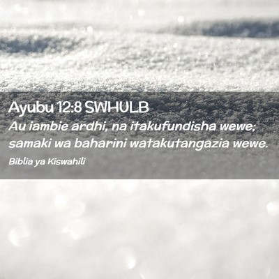 Picture 02 - Ayubu 12:8 SWHULB - Au iambie ardhi, na itakufundisha wewe; samaki wa - Bible Verse Picture