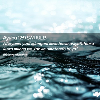 Picture 02 - Ayubu 12:9 SWHULB - Ni myama yupi miongoni mwa hawa asiyefahamu kuwa - Bible Verse Picture