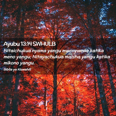 Picture 02 - Ayubu 13:14 SWHULB - Nitaichukua nyama yangu mwenywewe katika meno - Bible Verse Picture