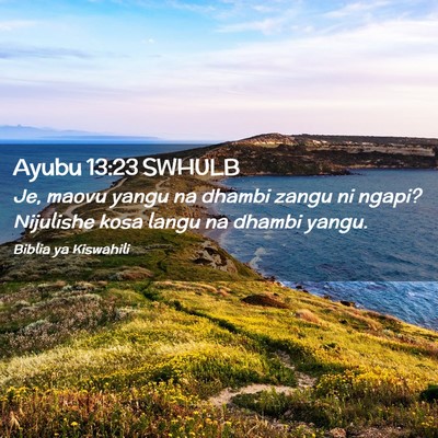 Picture 02 - Ayubu 13:23 SWHULB - Je, maovu yangu na dhambi zangu ni ngapi? - Bible Verse Picture