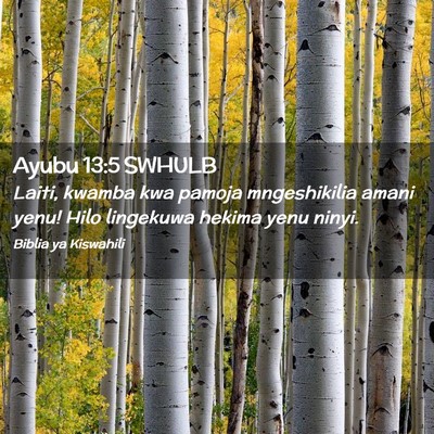 Picture 02 - Ayubu 13:5 SWHULB - Laiti, kwamba kwa pamoja mngeshikilia amani yenu! - Bible Verse Picture